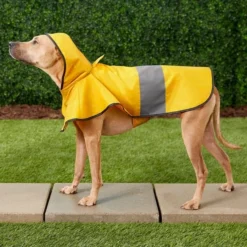 Frisco Rainy Days Dog Raincoat -FRISCO Sales 119207 PT7. SY630 V1540475370