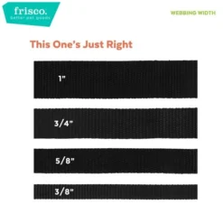 Frisco Solid Nylon Dog Leash -FRISCO Sales 133806 PT3. SY630 V1624480850