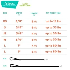 Frisco Solid Nylon Dog Leash -FRISCO Sales 133806 PT4. SY630 V1624480883