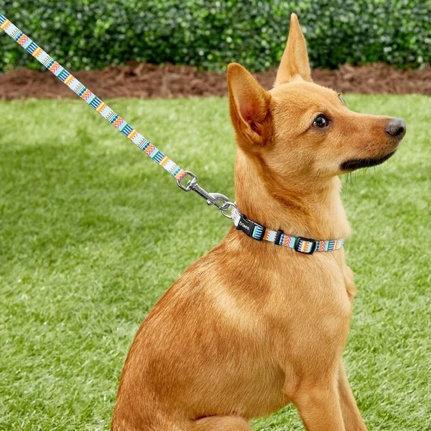 Frisco Patterned Polyester Dog Leash 4 Frisco Patterned Polyester Dog Leash - Image 2