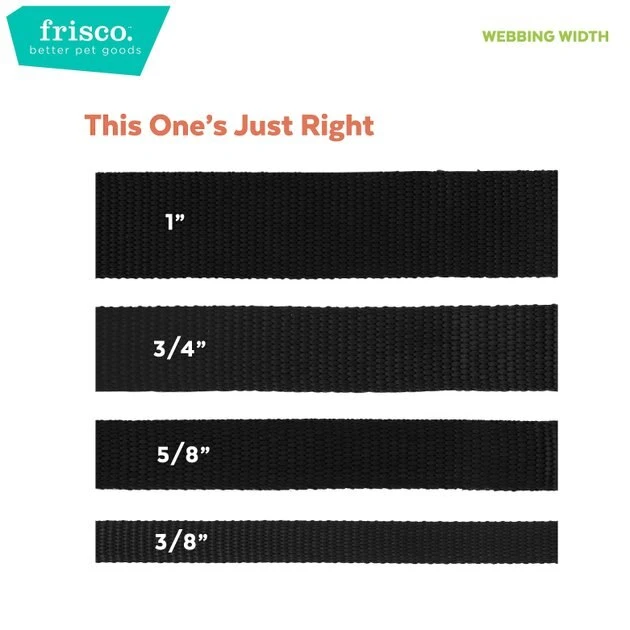 Frisco Patterned Polyester Dog Leash 7 Frisco Patterned Polyester Dog Leash - Image 5