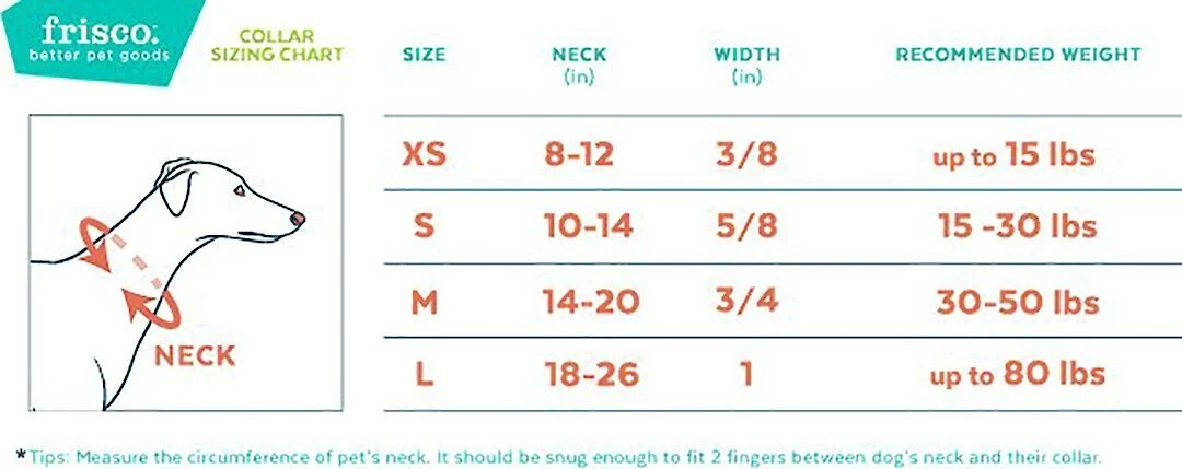 Frisco Patterned Polyester Dog Collar 4 Frisco Patterned Polyester Dog Collar - Image 2