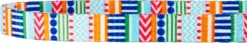 Frisco Patterned Polyester Dog Collar 12 Frisco Patterned Polyester Dog Collar -FRISCO Sales 137737 PT4. SY630 V1620685360