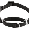 Frisco Solid Nylon Martingale Dog Collar with Buckle -FRISCO Sales 139159 Main. SY630 V1582828979