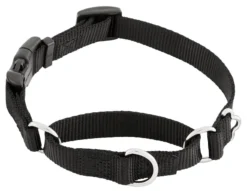 Frisco Solid Nylon Martingale Dog Collar with Buckle