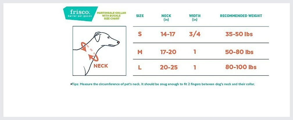 Frisco Solid Nylon Martingale Dog Collar with Buckle 4 Frisco Solid Nylon Martingale Dog Collar with Buckle - Image 2