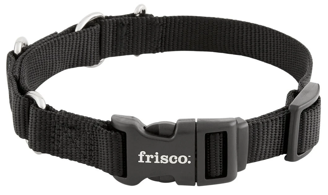 Frisco Solid Nylon Martingale Dog Collar with Buckle 6 Frisco Solid Nylon Martingale Dog Collar with Buckle - Image 4