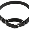 Frisco Solid Nylon Slip-On Martingale Dog Collar -FRISCO Sales 139163 Main. SY630 V1582829023