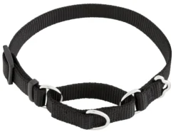 Frisco Solid Nylon Slip-On Martingale Dog Collar