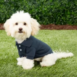 Frisco Classic Dog Polo Shirt -FRISCO Sales 139455 PT6. SY630 V1541454212