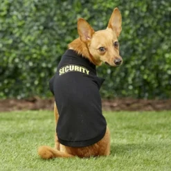 Frisco Security Dog & Cat T-Shirt 17 Frisco Security Dog & Cat T-Shirt -FRISCO Sales 139500 PT7. SY630 V1624613255