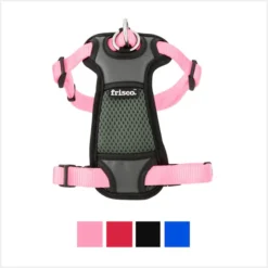 Frisco Padded Nylon No Pull Dog Harness