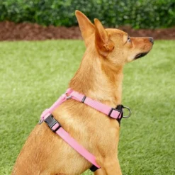 Frisco Padded Nylon No Pull Dog Harness -FRISCO Sales 140003 PT5. SY630 V1561574033