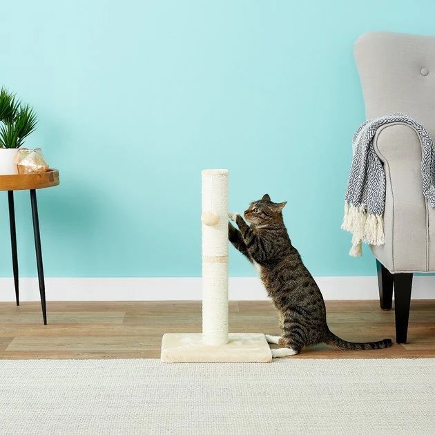 Frisco 21-in Sisal Cat Scratching Post with Toy 3 Frisco 21-in Sisal Cat Scratching Post with Toy