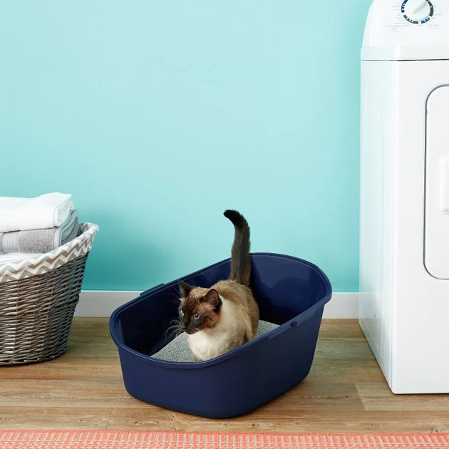 Frisco High Back Cat Litter Box, Extra Large 23-in 3 Frisco High Back Cat Litter Box, Extra Large 23-in