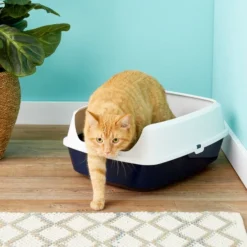 Frisco Open Top Cat Litter Box With Rim, Large 19-in