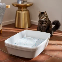 Frisco Summer Clean Scented Non-Clumping Crystal Cat Litter -FRISCO Sales 144146 PT4. SY630 V1659023731