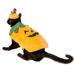 Frisco Pumpkin Dog & Cat Costume