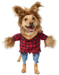 Frisco Front Walking Werewolf Dog & Cat Costume -FRISCO Sales 144559 PT4. SY630 V1625077368