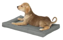Frisco Dog Crate Mat, Dark Gray -FRISCO Sales 144844 PT4. SY630 V1567529743