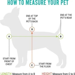 Frisco Basic Dog & Cat Carrier Bag, Black -FRISCO Sales 144990 PT4. SY630 V1569025683