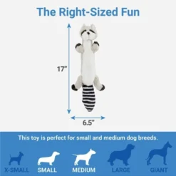 Frisco Skinny Plush Squeaking Raccoon Dog Toy -FRISCO Sales 147045 PT2. SY630 V1539205484