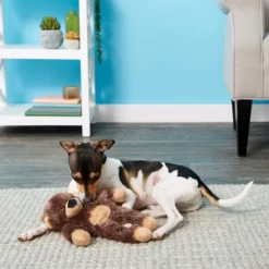 Frisco Plush with Inside Rope Squeaking Bear Dog Toy -FRISCO Sales 147061 PT1. SY630 V1539205696