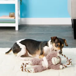 Frisco Plush with Rope Squeaking Monkey Dog Toy -FRISCO Sales 147067 PT1. SY630 V1539286324