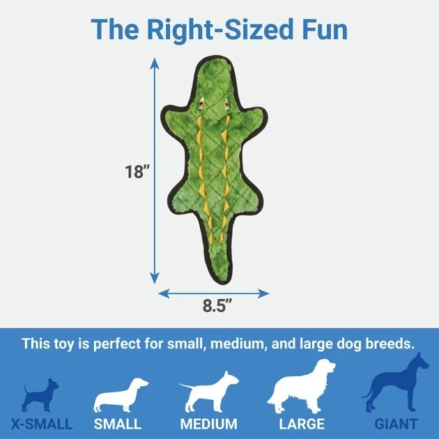 Frisco Flat Plush Squeaking Alligator Dog Toy 4 Frisco Flat Plush Squeaking Alligator Dog Toy - Image 2