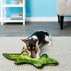 Frisco Flat Plush Squeaking Alligator Dog Toy 7 Frisco Flat Plush Squeaking Alligator Dog Toy -FRISCO Sales 147073 PT2. SY630 V1589405461