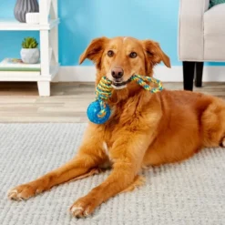 The Frisco Store -FRISCO Sales 147098 PT1. SY630 V1539366735