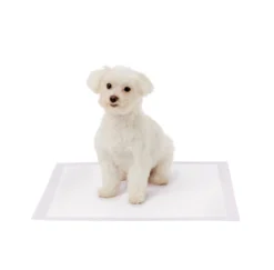 Frisco Dog Training Pads, 21 x 21-in, 100 count, Floral Scented 12 Frisco Dog Training Pads, 21 x 21-in, 100 count, Floral Scented -FRISCO Sales 149818 PT3. SY630 V1624495686