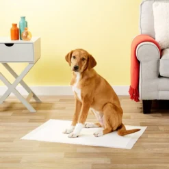 Frisco Dog Training Pads, 21 x 30-in, 30 count, Floral Scented -FRISCO Sales 149820 PT6. SY630 V1624495383