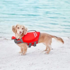 Frisco Neoprene Dog Life Jacket -FRISCO Sales 152462 PT7. SY630 V1631052425