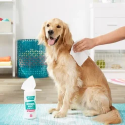 Frisco Hypoallergenic Waterless Grooming Wipes with Aloe for Dogs & Cats, Unscented, 50 count -FRISCO Sales 152581 PT4. SY630 V1551302931