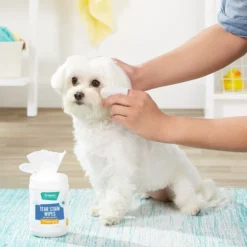 Frisco Moisturizing Tear Stain Wipes with Aloe for Dogs & Cats -FRISCO Sales 152585 PT4. SY630 V1551302938