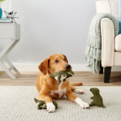 Frisco Hide & Seek Plush Volcano Puzzle Dog Toy Refills, 3-pack -FRISCO Sales 152814 PT2. SY630 V1549657048