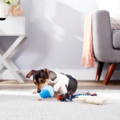 Frisco Hide & Seek Plush Chewy Box Puzzle Dog Toy Refills 7 Frisco Hide & Seek Plush Chewy Box Puzzle Dog Toy Refills -FRISCO Sales 152818 PT2. SY630 V1549654939