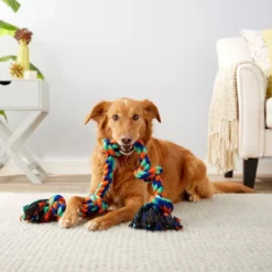 Frisco Rope with 5 Knots Dog Toy -FRISCO Sales 152836 PT2. SY630 V1549655007