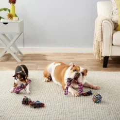 Frisco Rope Multipack for Small to Medium Dog Toys, 4 count 7 Frisco Rope Multipack for Small to Medium Dog Toys, 4 count -FRISCO Sales 152838 PT2. SY630 V1549655022