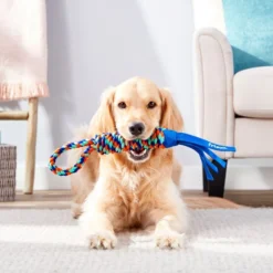 Frisco Rope with Handle & Tassels Dog Toy -FRISCO Sales 152840 PT2. SY630 V1549655030
