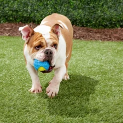 Frisco Tennis Ball with Rubber Sleeve, Medium -FRISCO Sales 152844 PT3. SY630 V1549655064