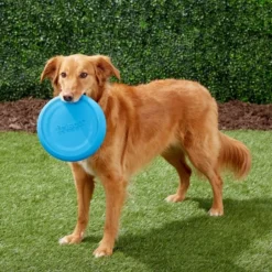 Frisco Fetch Rubber Flyer Dog Toy -FRISCO Sales 152848 PT3. SY630 V1549655097