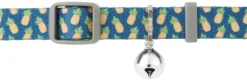 Frisco Pineapple Polyester Breakaway Cat Collar with Bell -FRISCO Sales 153158 PT2. SY630 V1568380069