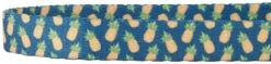Frisco Pineapple Polyester Breakaway Cat Collar with Bell -FRISCO Sales 153158 PT3. SY630 V1568380088 scaled