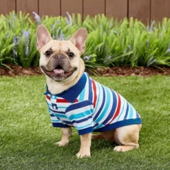 Frisco Striped Dog & Cat Polo Shirt, Red & Blue 15 Frisco Striped Dog & Cat Polo Shirt, Red & Blue -FRISCO Sales 153589 PT6. SY630 V1624902158