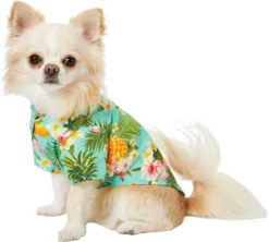 Frisco Pineapple Hawaiian Camp Dog & Cat Shirt