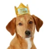 Frisco Happy Birthday Dog & Cat Crown 2 Frisco Happy Birthday Dog & Cat Crown -FRISCO Sales 153665 MAIN. SY630 V1551230974