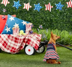 Frisco American Cutie Dog & Cat Sundress 11 Frisco American Cutie Dog & Cat Sundress -FRISCO Sales 153735 PT4. SY630 V1633126624