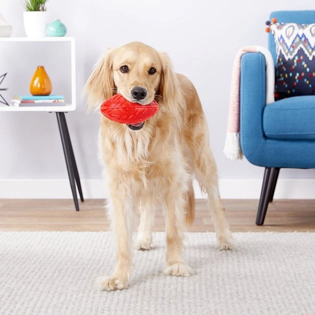 Frisco Squeaky Football Dog Toy 5 Frisco Squeaky Football Dog Toy - Image 3